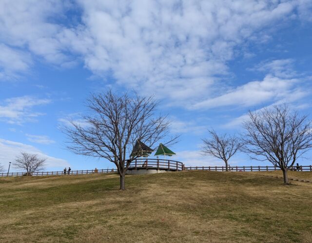 大和・綾瀬デートのすすめ｜ゆとりの森公園でゆっくり距離が縮まる時間